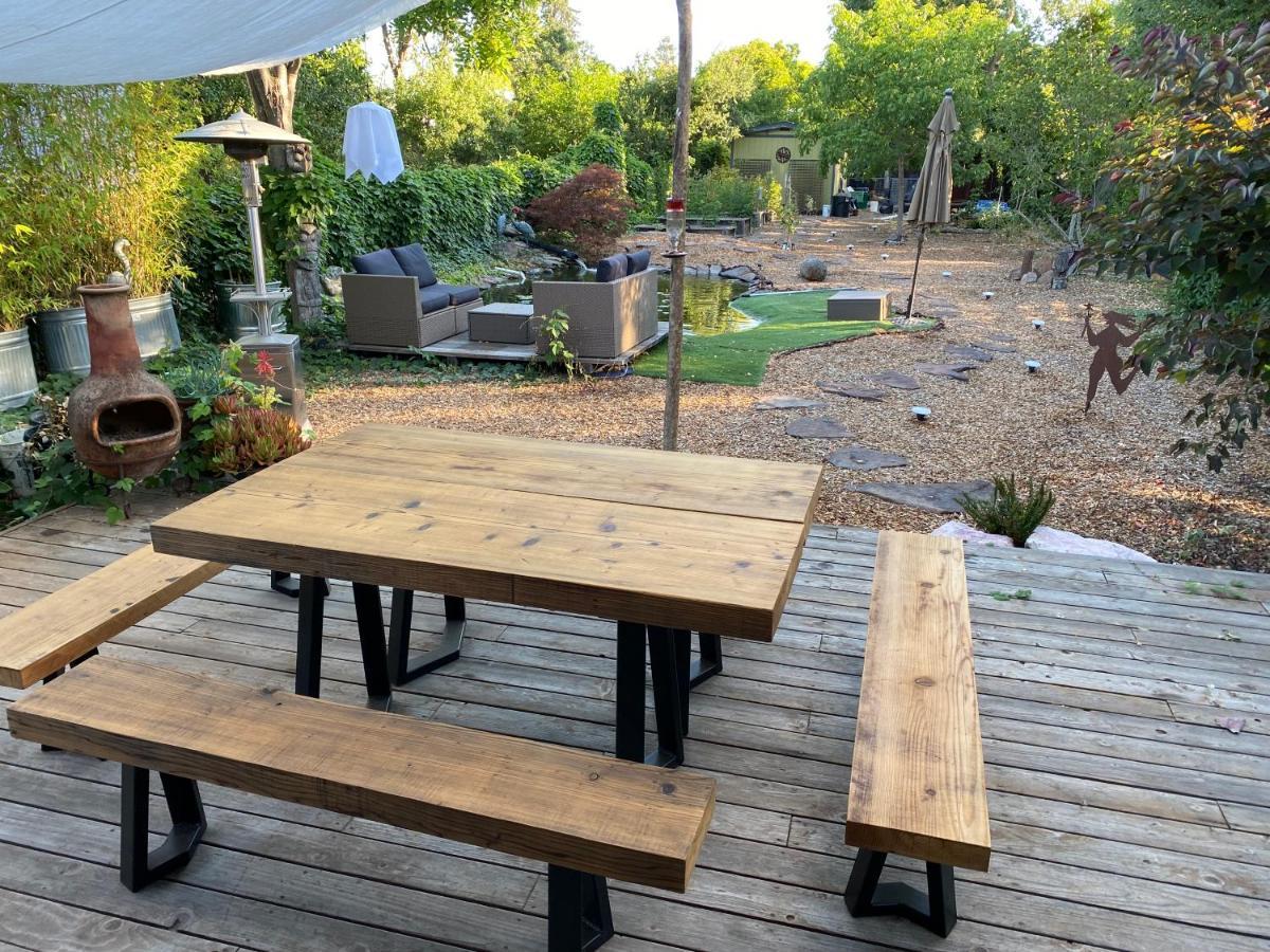 My Big Art Project Bed & Breakfast Santa Rosa Exterior photo