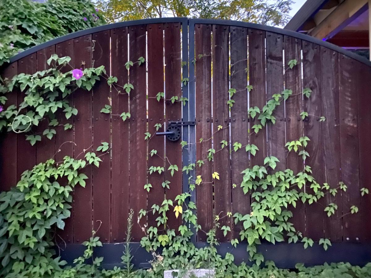 My Big Art Project Bed & Breakfast Santa Rosa Exterior photo