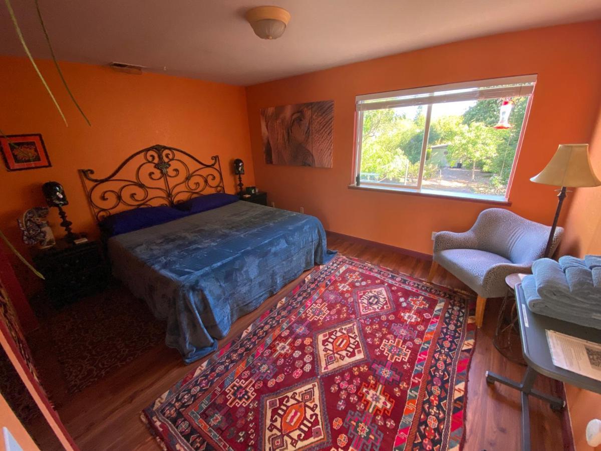 My Big Art Project Bed & Breakfast Santa Rosa Exterior photo